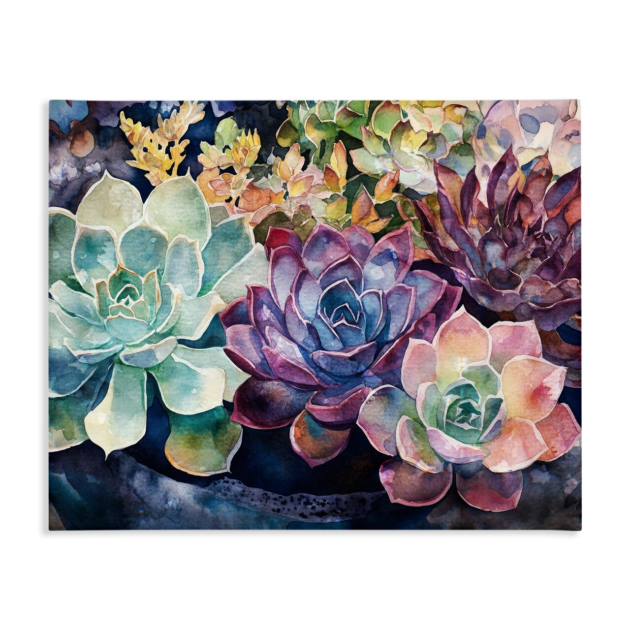 Stupell Industries Tutti Succulents Collection Canvas, design by Svetlana Aleynikova